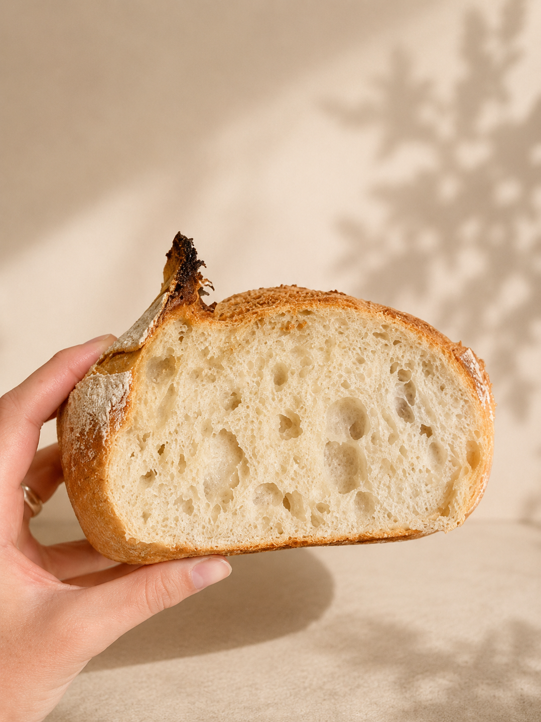 Sourdough Starter